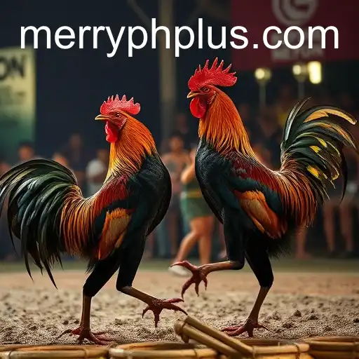 MERRYPH-BONUS6